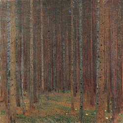 Pine Forest